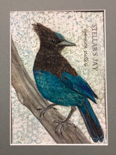 Load image into Gallery viewer, Stellar's Jay, 5x7 original mixed media painting, 98 of 100