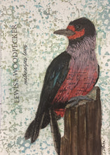Load image into Gallery viewer, Lewis's Woodpecker, 5x7 original mixed media painting, 100 of 100