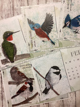 Load image into Gallery viewer, 2025 Favorite Birds Calendar