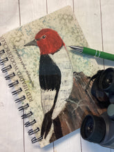 Load image into Gallery viewer, Red Headed Woodpecker 5x7" notebook, Birdwatcher's journal,