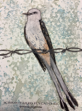 Load image into Gallery viewer, Scissor-tailed Flycatcher, 5x7 original mixed media painting, 53 of 100