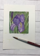 Load image into Gallery viewer, &quot;Iris&quot; original watercolor painting
