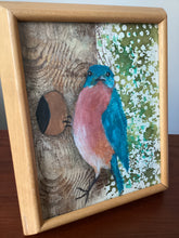 Load image into Gallery viewer, Eastern Bluebird 5x7 original mixed media painting  Day 3 of 100
