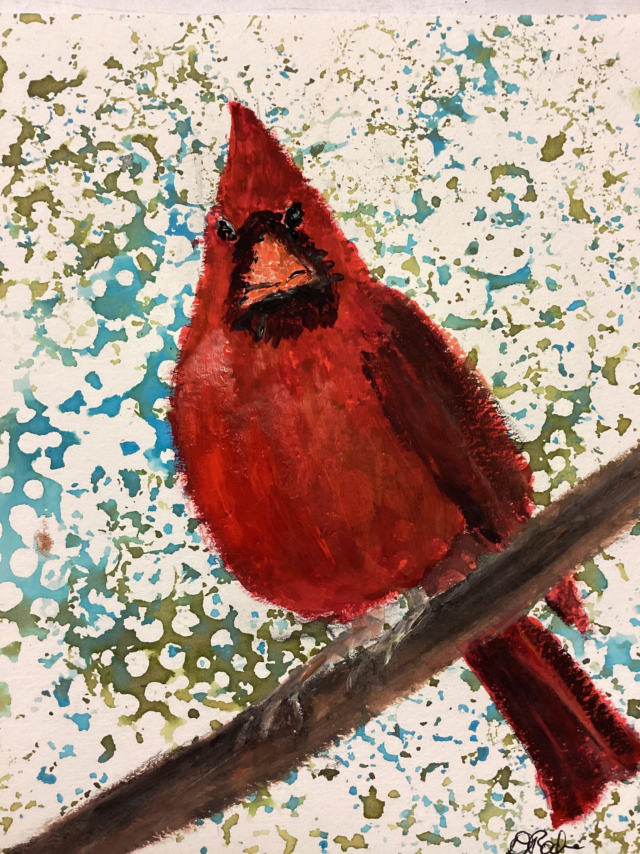 Northern Cardinal Drawing Northern Cardinal Identification, All About