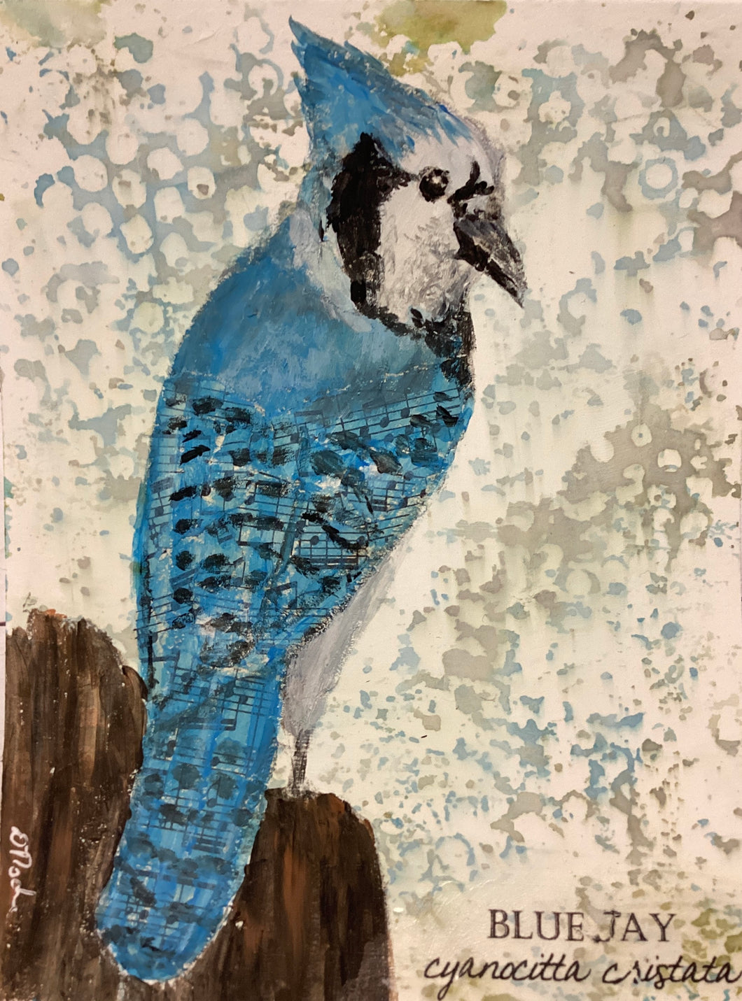 Blue Jay 5x7 original mixed media painting Day 8 of 100