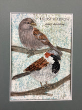 Load image into Gallery viewer, House Sparrow, 5x7 original mixed media painting, 41 of 100
