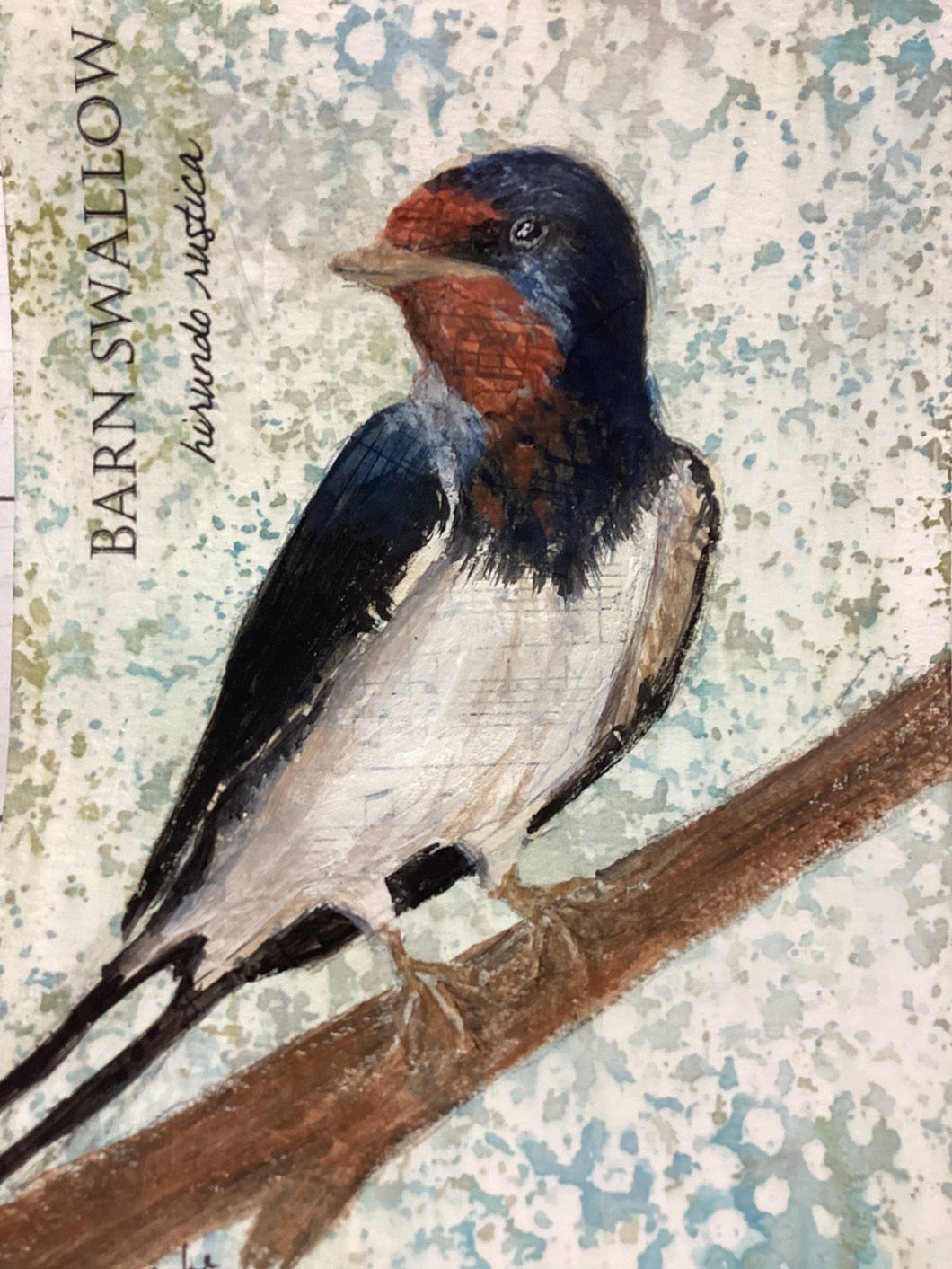 Barn Swallow, 5 x 7 original mixed media painting, 42 of 100