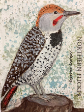 Load image into Gallery viewer, Northern Flicker, 5x7 original mixed media painting, 44 of 100
