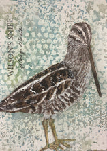 Load image into Gallery viewer, Wilson&#39;s Snipe, 5x7 original mixed media painting, 99 of 100
