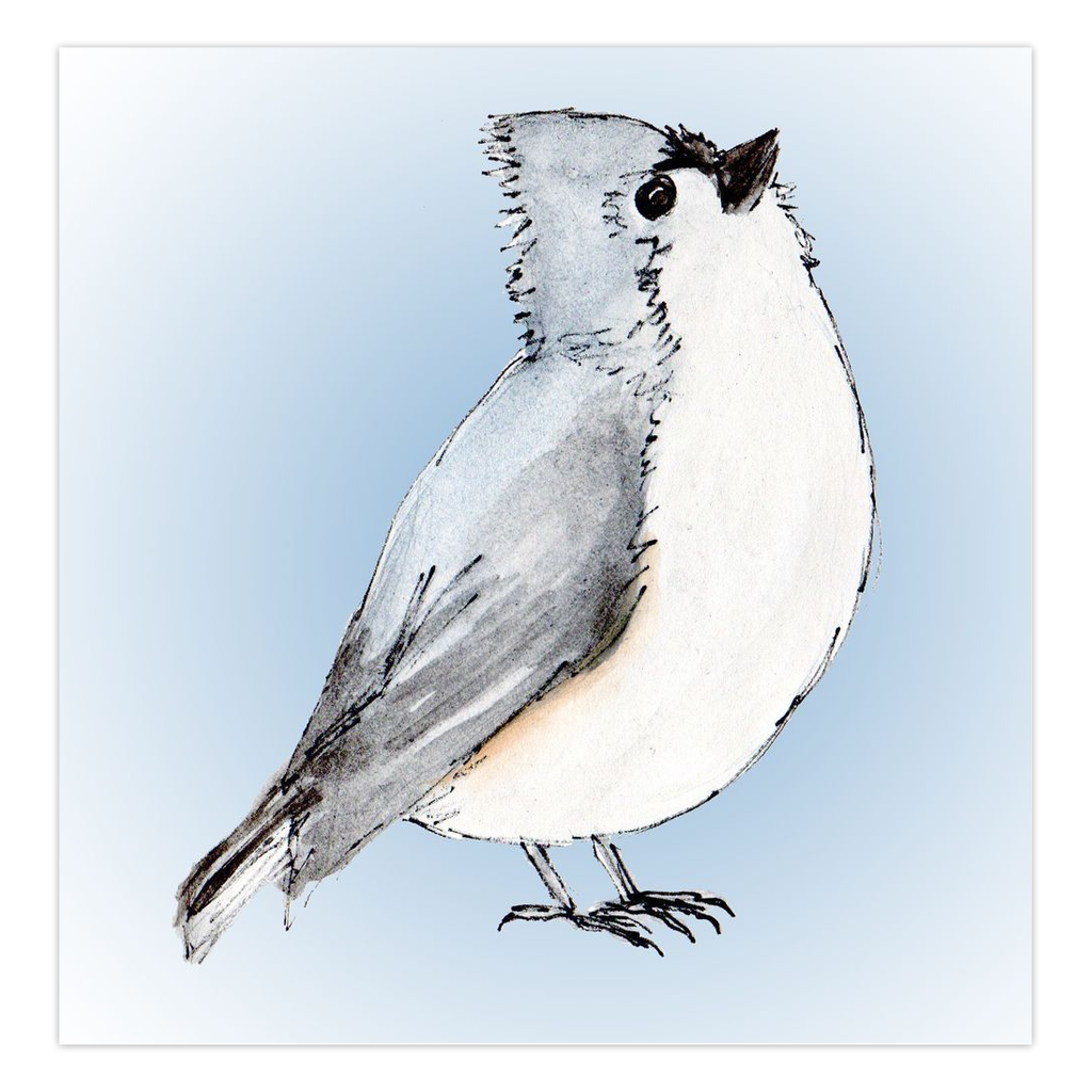 Things Are Looking Up Tufted Titmouse greeting card Day 13 of 100