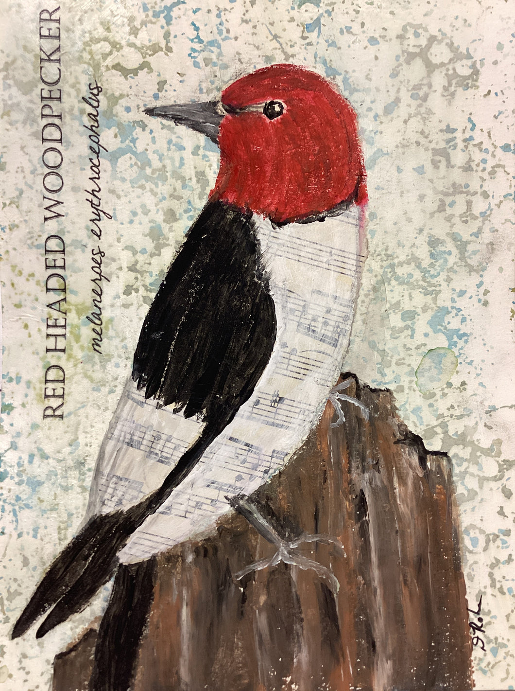 Red Headed Woodpecker 5x7 original mixed media painting Day 10 of 100