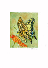 Load image into Gallery viewer, &quot;Yellow Swallowtail&quot; original watercolor painting
